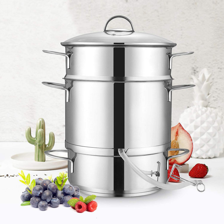 TianRan Fruit Juicer Steamer,Stainless Steel Fruit Vegetables Steamer For Food With Glass Lid